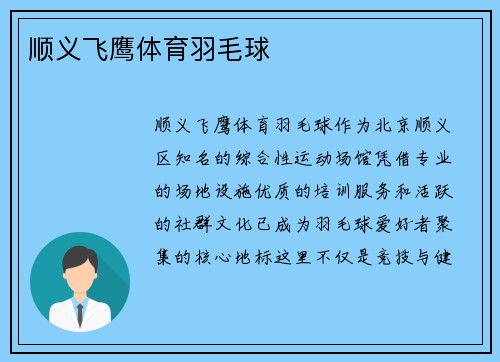 顺义飞鹰体育羽毛球